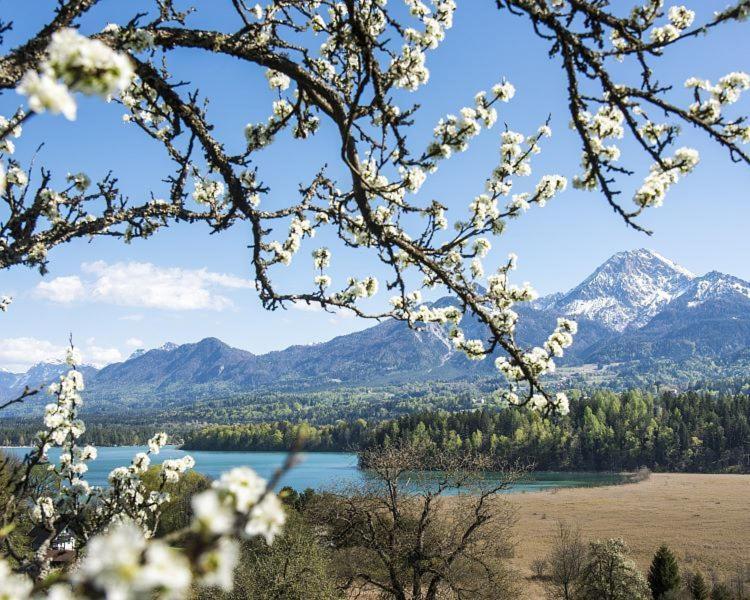 New Life Apartment Latschach ober dem Faakersee Buitenkant foto